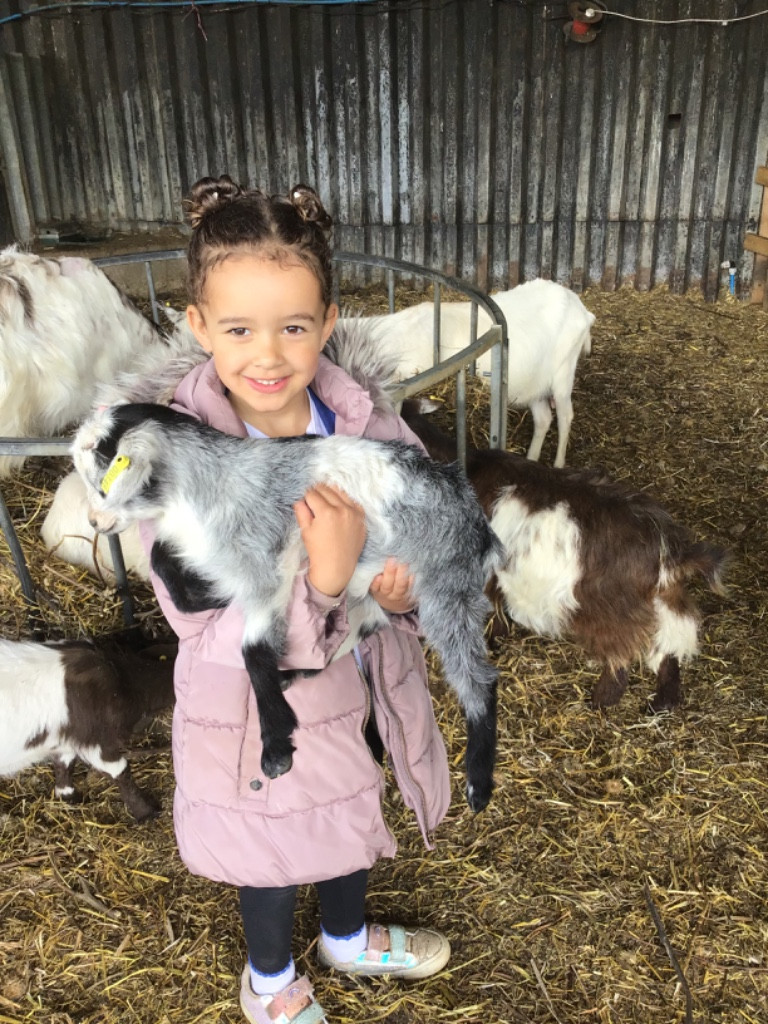 Springtime walk & farm trip